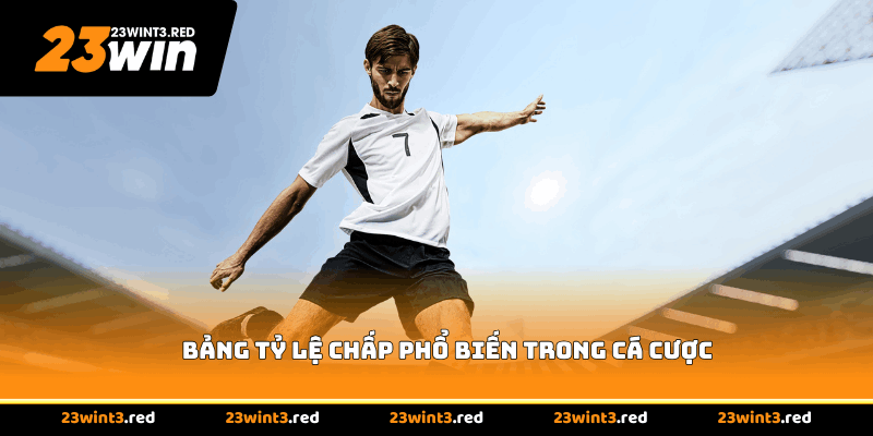 Bảng tỷ lệ chấp phổ biến trong cá cược