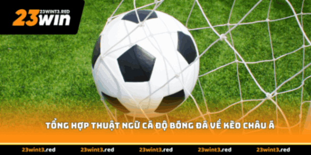 Tổng hợp thuật ngữ cá độ bóng đá về kèo châu Á